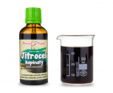 Výprodej - Jitrocel - bylinné kapky (tinktura) 50 ml
