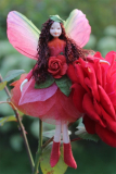 ISISS ® květinová víla Červená růže (C444M)