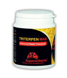 SH Triterpen Max 90 kapslí extrakt z Duanwood Red Reishi – 20 % triterpenů