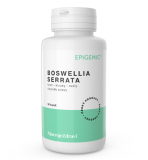 Boswellia Serrata Epigemic 90 kapslí