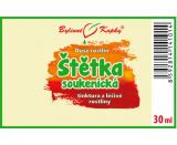 Štětka soukenická - bylinné kapky (tinktura) 30 ml