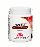 SH Agaricus blazei Murill, Extrakt 40 % polysacharidů 90 kapslí