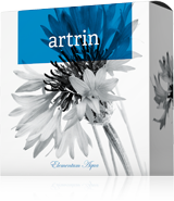 Energy Artrin přírodní mýdlo 100 g
