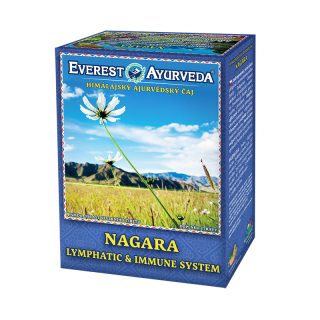 Everest Ayurveda Nagara 100 g
