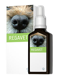 Energy Regavet (veterinární přípravek) 30 ml